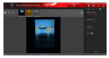 Load image into Gallery viewer, UVP GelStudio Imaging System
